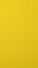 Painted door, Preesens, TM10, Yellow
