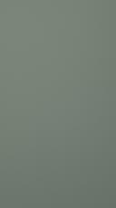 Lacquered door, Chic, TML16, Reed green, matt