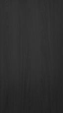 Lacquered door, Chic, TML16, Black wood, matt