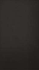 Birch door, Classic, TP47P, Black