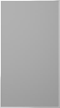 Aluminium frame door, Light, TAL30, Aluminium (Metal silver)