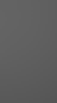 Painted door, Preesens, TM10, Graphite Grey