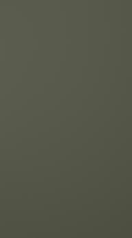 Painted door, Preesens, TM10, Moss