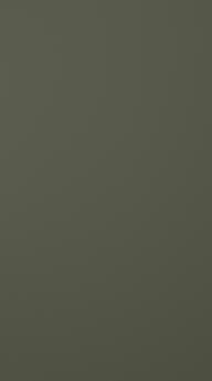 Painted door, Style, TM40, Moss