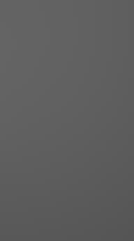 Painted door, Style, TM40, Graphite Grey