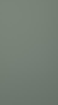 Lacquered door, Chic, TML16, Reed green, matt