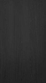 Lacquered door, Chic, TML16, Black wood, matt