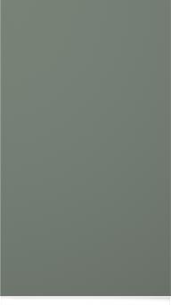 Lacquered door, Variant, TML874A, Reed green, matt  (ph49 white handle)