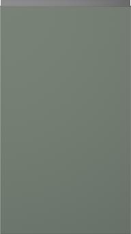 Lacquered door, Variant, TML874Y, Reed green, matt  (ph41 black handle)