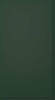Birch door, Format, TP68P, Conifer 