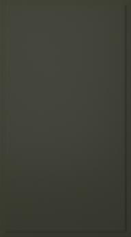 Birch door, Format, TP68P, Moss  