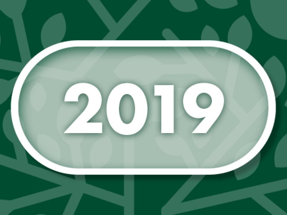 Vuosi 2019