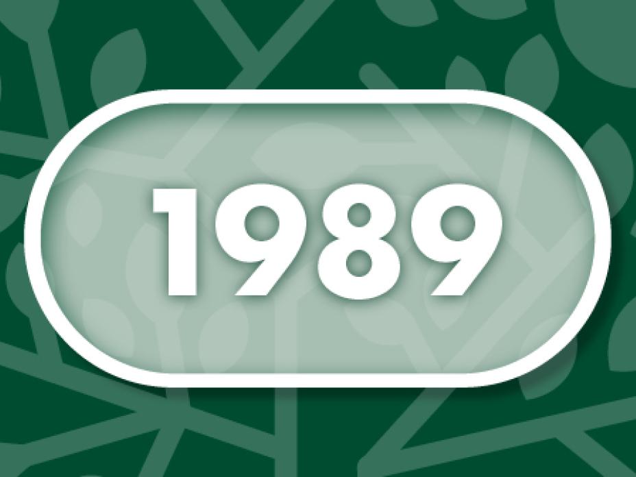 Vuosi 1989
