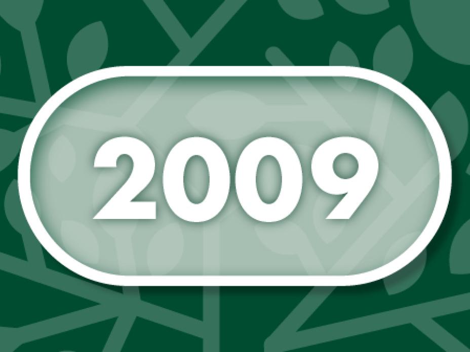 Vuosi 2009 B