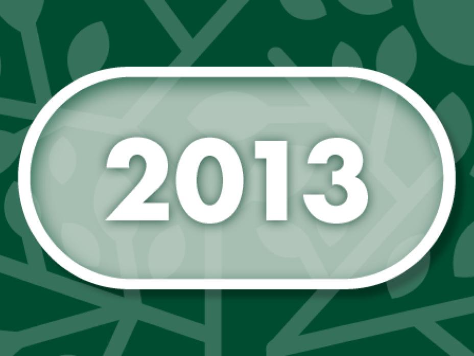 Vuosi 2013