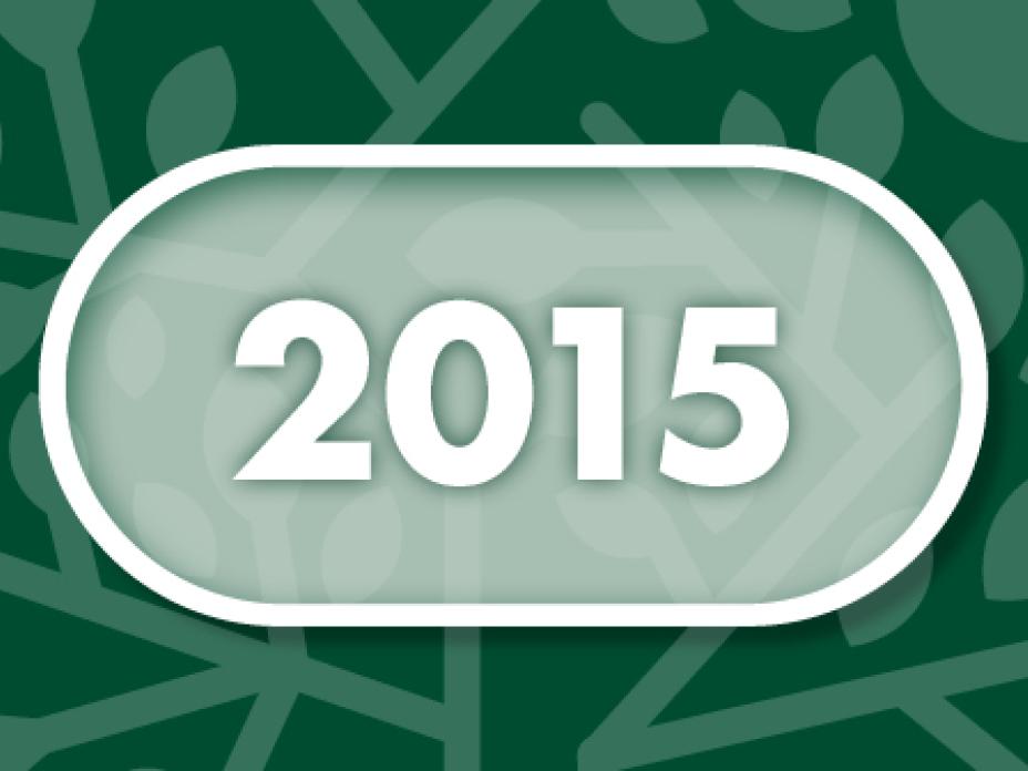 Vuosi 2015
