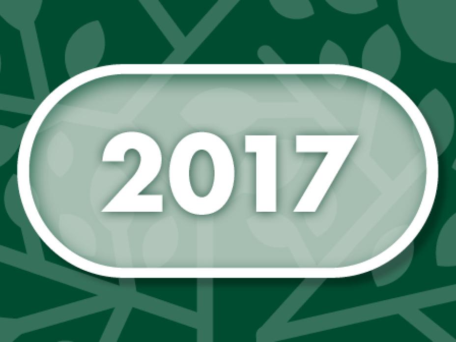 Vuosi 2017