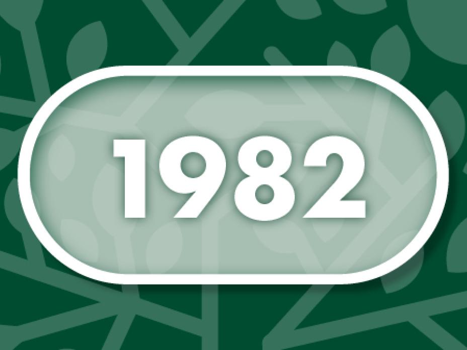 Vuosi 1982