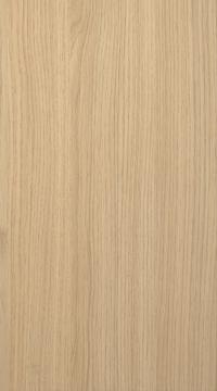 Laminate door, Power, TL20, Vicensa Oak