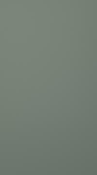 Lacquered door, Chic, TML16, Reed green, matt