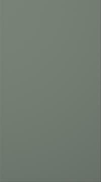 Lacquered door, Variant, TML87, Reed green, matt