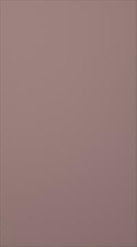 Birch door, Classic, TP47P, Fig