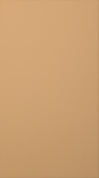Birch door, Classic, TP47P, Ginger