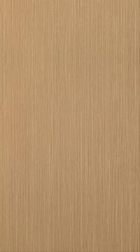 Special veneer door, OakLook, Classic TP47P, Lacquered