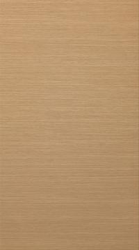 Special veneer door, OakLook, Classic TP47V, Lacquered